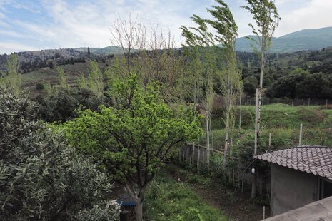 سوئیت مبله عمو ایرج در رودبار