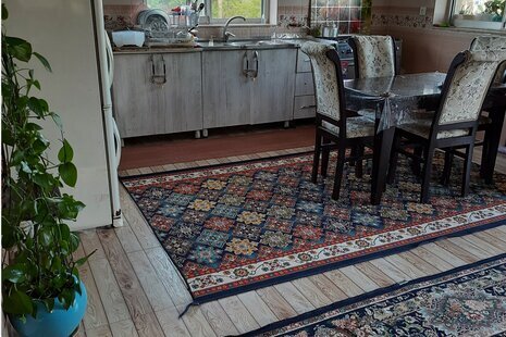 باغ ویلا تکخواب مبله علیرضا در ماسال