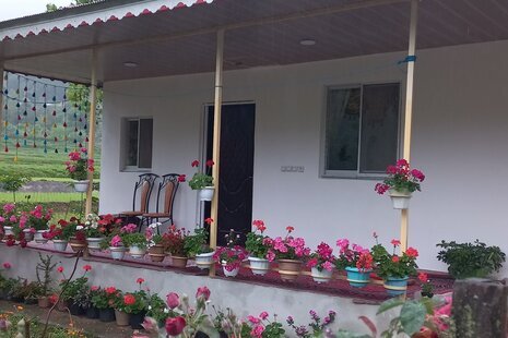 ویلا تکخواب مبله شمعدونی در ماسال