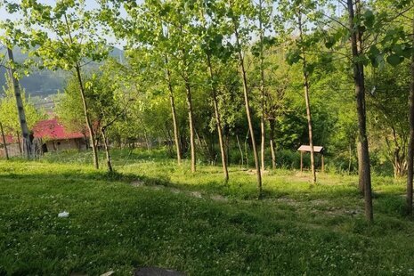 کلبه چوبی آرامش در ماسال