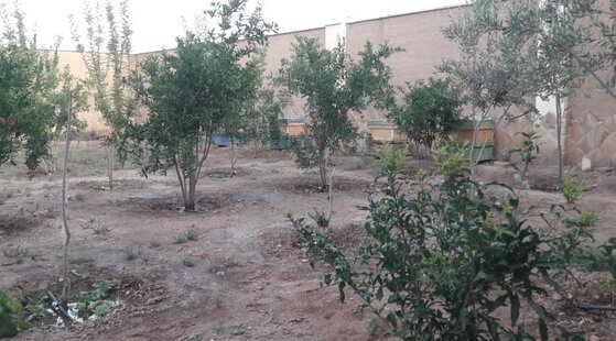 خانه باغ نوساز در کاشان