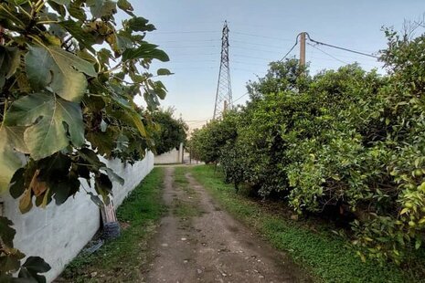 کلبه سوئیت چوبی نزدیک به ساحل در رامسر