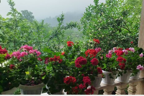 ویلا مبله دوبلکس دوخواب در ماسال