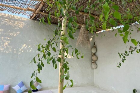 سوئیت ویلای شوران در قشم