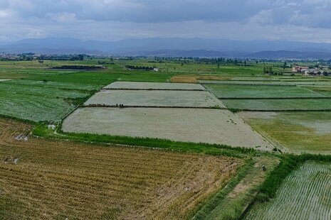 آپارتمان مبله تک خواب در هتل آپارتمان بابل