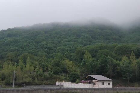 ویلا مبله سه خواب جنگلی شمشاد در سوادکوه