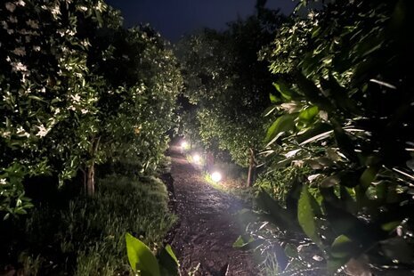 کلبه سوئیسی دوبلکس دوخواب در سوادکوه