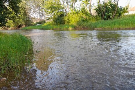 ویلا تکخواب سام در رشت