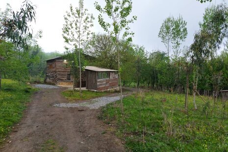 کلبه چوبی 1 در شیرگاه