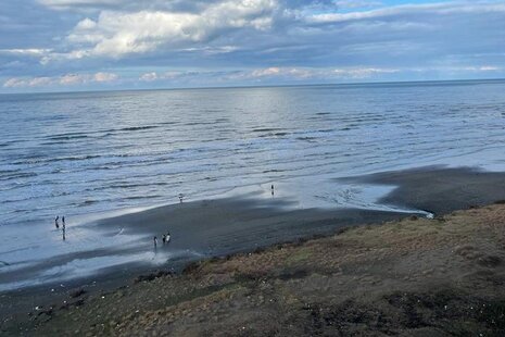 آپارتمان مبله دو خواب نگین در محمودآباد