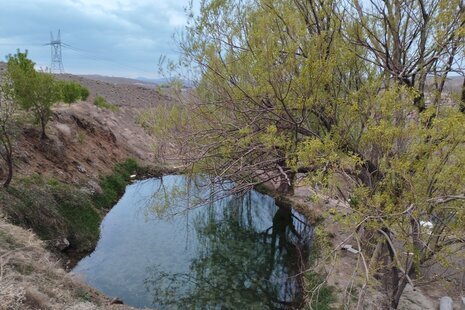 آپارتمان تکخواب مبله سپهر و سهیل در باغ بهادران