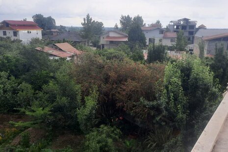 واحد تکخواب طبقه اول ویلا قوی سپید در رودسر