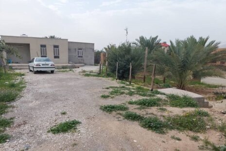 اتاق نخل در اقامتگاه بومگردی دشتی بوشهر