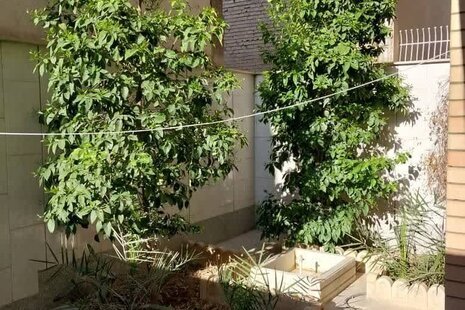 آپارتمان تکخواب نیکا در اصفهان