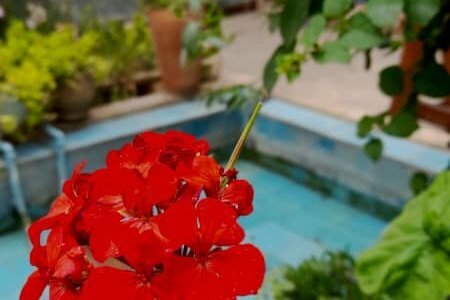 اتاق 8 در اقامتگاه بومگردی شیراز