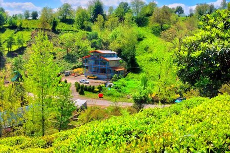 آپارتمان مبله دوخواب  نیروشم 1 در لاهیجان