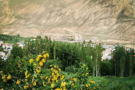 آپارتمان مبله تکخواب لزور در فیروزکوه