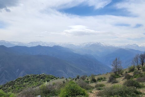 خانه ویلایی جنگلی تکخواب در سواکوه
