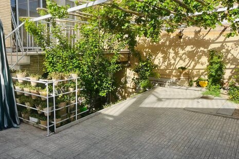 تک خواب نیکنام در اصفهان