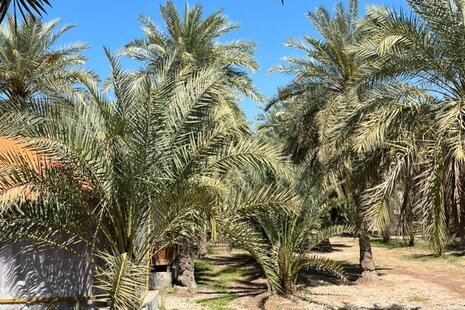 واحد 112 در مجتمع اقامتی آبادان