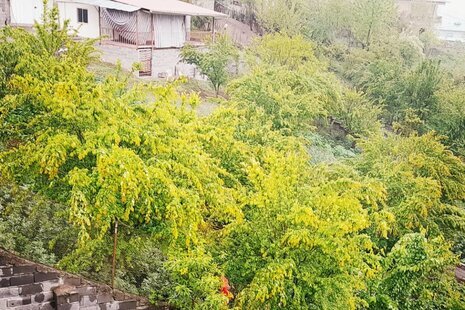واحد تکخواب مبله در طبقه ی اول ویلا بابل