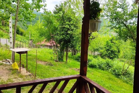 کلبه چوبی آرامش در ماسال