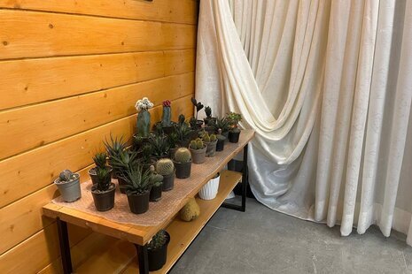 کلبه سوئیسی دوبلکس تک خواب ماجون در ماسال