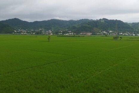 آپارتمان مبله تک خواب در آستارا