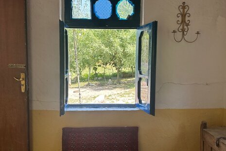 سوئیت جنگلی کاهگلی در کیاده ساری