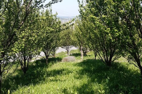 ویلای وارش در بابل