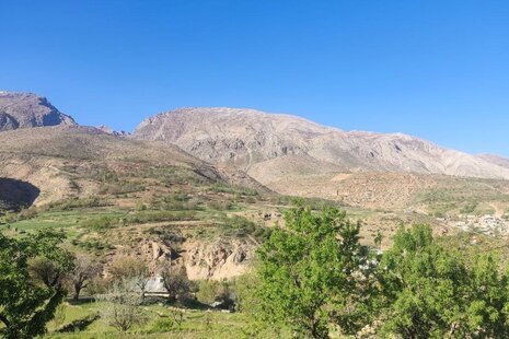 کلبه سوئیسی دوبلکس تک خواب ارغوان در لردگان