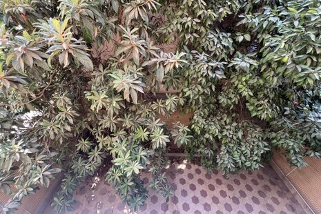 آپارتمان مبله دوخواب همکف در شیراز