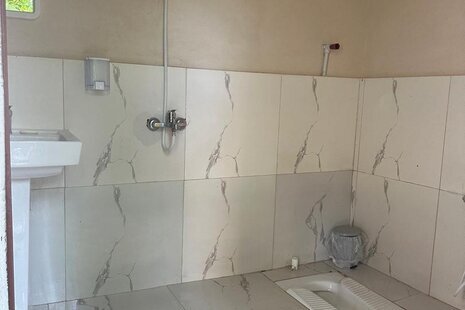 سوئیت جنگلی کاهگلی در کیاده ساری