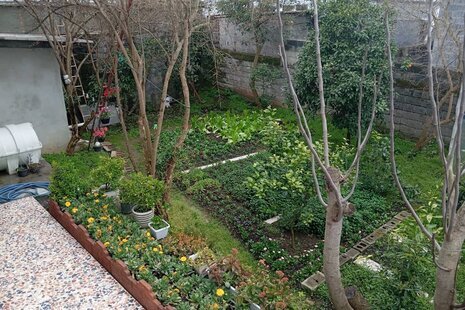 واحد تکخواب در طبقه همکف ویلای محمودآباد