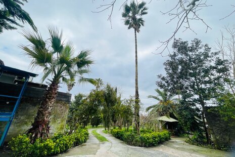 ویلا باغ تک خواب نارنج در زیبا کنار