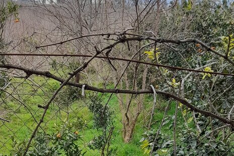 واحد تکخواب ماه و ستاره 2 در طبقه همکف ویلای تنکابن