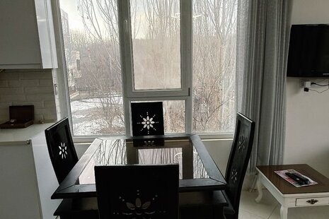 آپارتمان مبله تکخواب جنگلی نهال در طرقبه