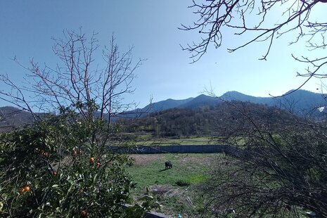 واحد مبله تکخواب در طبقه اول تبسم در ماسال