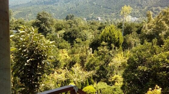 خانه ویلایی 3 خواب در چابکسر