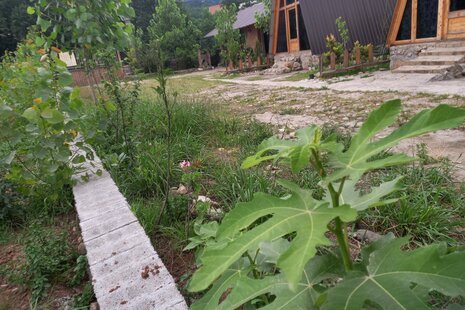 کلبه سوئیسی دوبلکس تک خواب طبیعت 2 در بابل