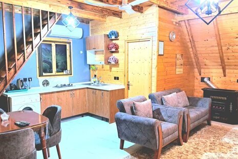 کلبه سوئیسی دوبلکس تکخواب امیر در بابل