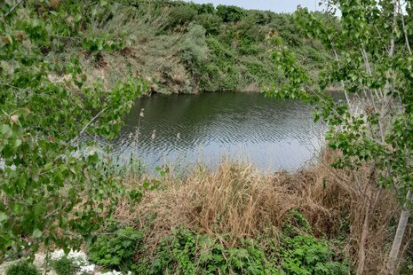 ویلا استخردار سه خواب مبله در فرح آباد