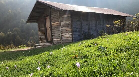 کلبه چوبی اولسبلنگاه