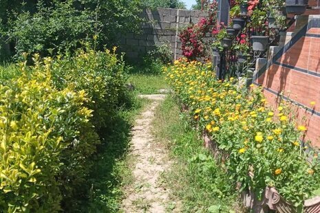 واحد تکخواب در طبقه همکف ویلا در اسالم