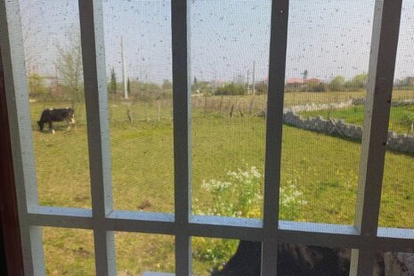 سوئیت سنتی 38 متری در ماسال