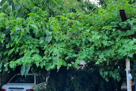 خانه ویلایی تک خواب شهریار در غار علیصدر