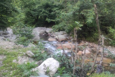 ویلا دوبلکس جنگلی کوهستانی تکخواب در فومن