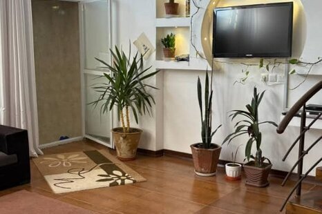 ویلا دوبلکس استخردار آبگرم در باغ بهادران