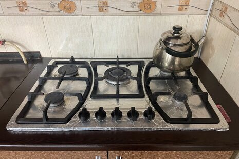 ویلا مبله تکخواب در رشت