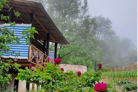 واحد طبقه دوم آرامش در جواهرده